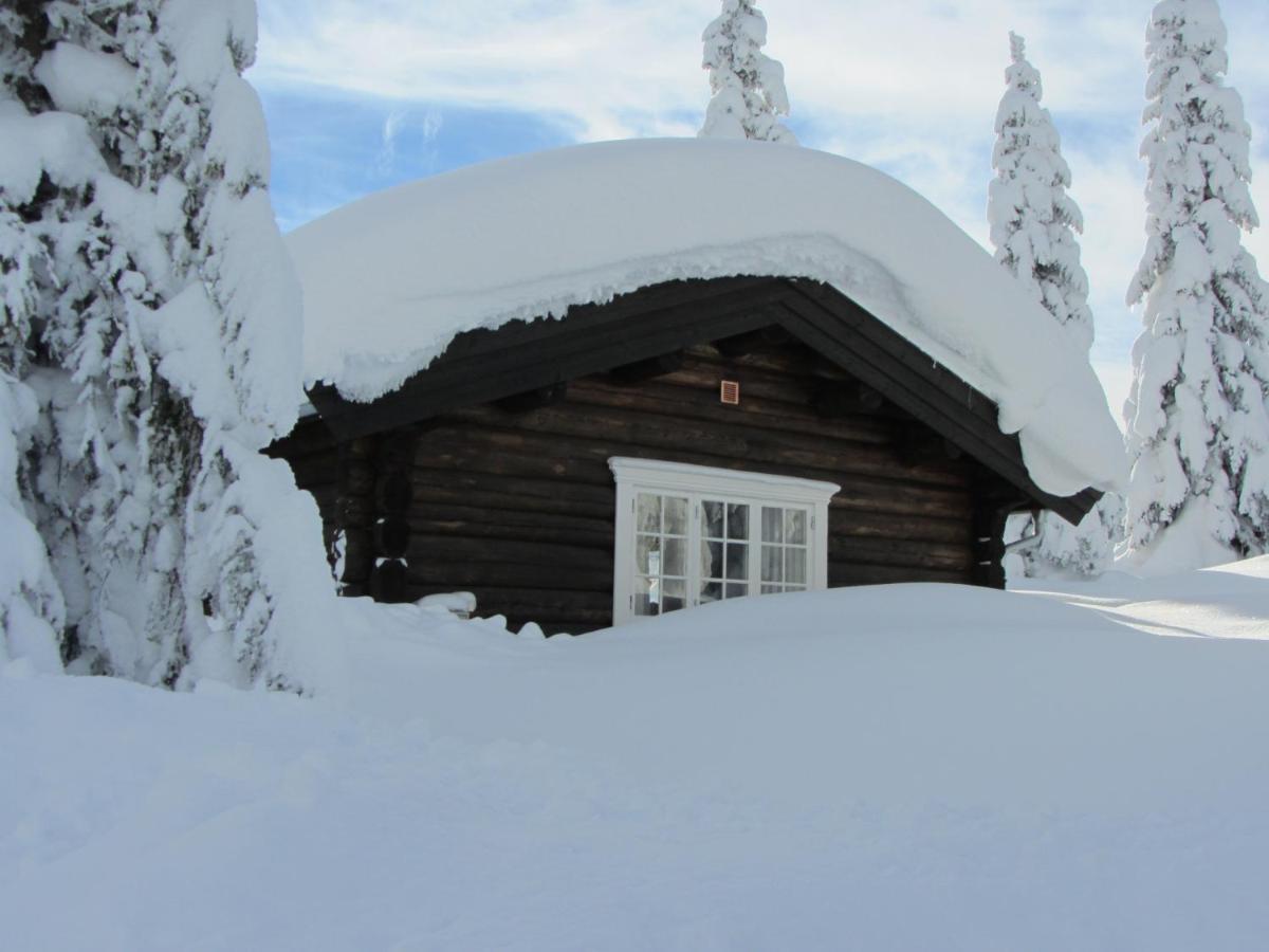 Koselig Familiehytte Sentralt Pa Skeikampen Til Leie Lodge