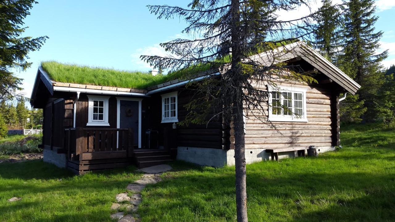 Koselig Familiehytte Sentralt Pa Skeikampen Til Leie *