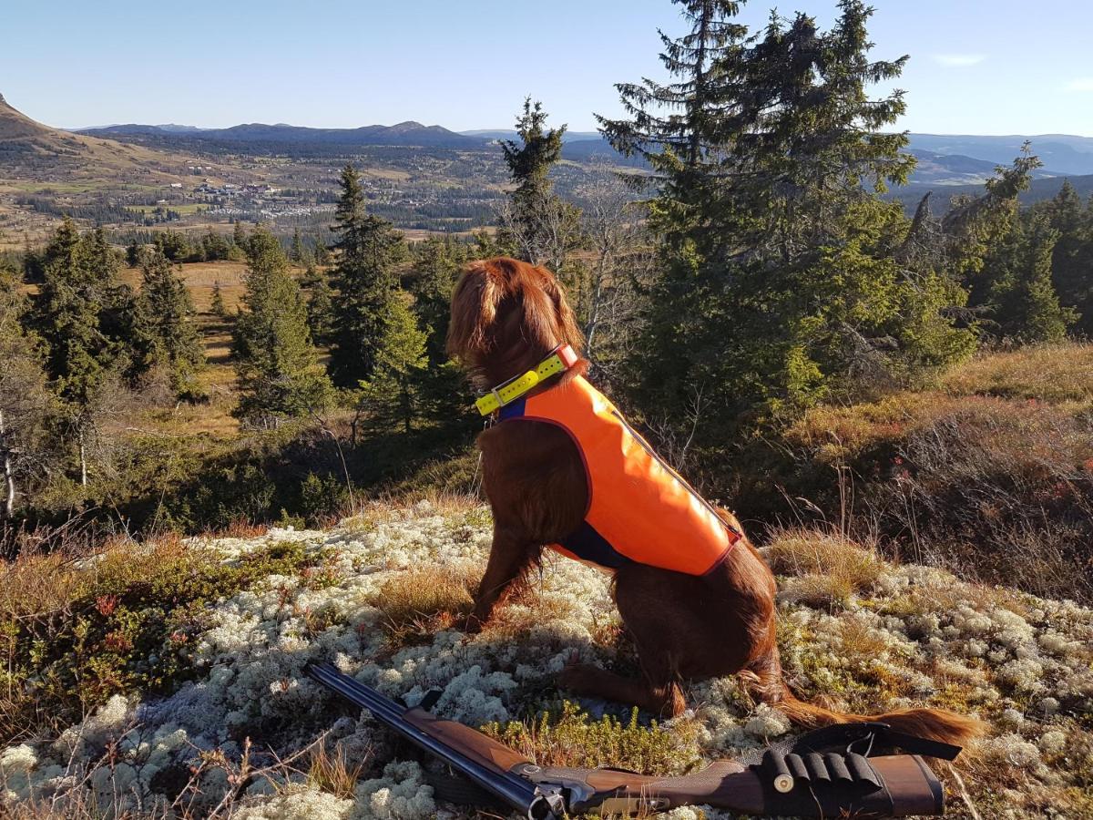 Koselig Familiehytte Sentralt Pa Skeikampen Til Leie *