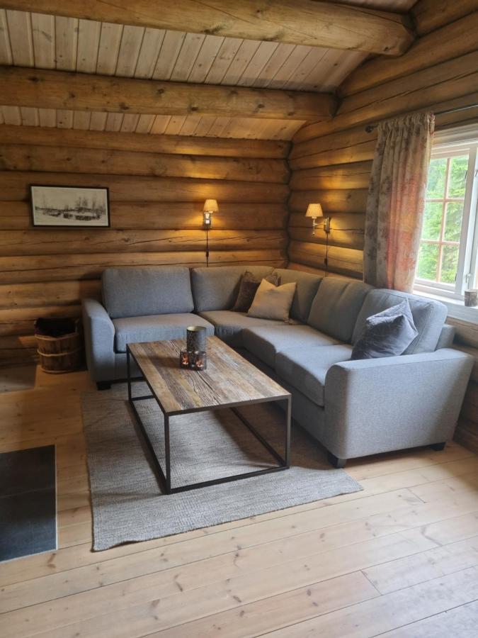 Koselig Familiehytte Sentralt Pa Skeikampen Til Leie Lodge